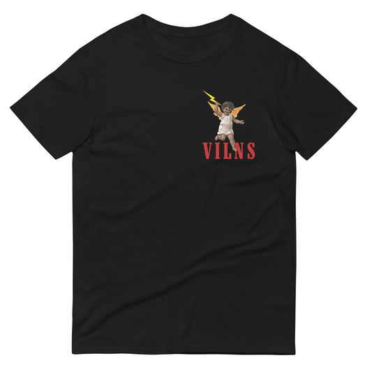 VILNS